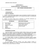 LABORATORIO INFORME SOLIDOS GRANUADOS - EFERVESCENTES