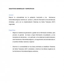 OBJETIVOS GENERALES Y ESPECÍFICOS (SAT). Página 1