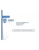 Primer Período del Año Académico 2016: “José Cecilio del Valle”