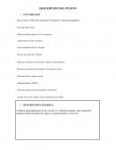 Piloto de Autobuses Escolares y vehículos pequeños