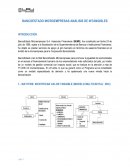 BANCOESTADO MICROEMPRESAS ANÁLISIS DE INTANGIBLES