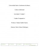 Actividad 2 Cultura Ambiental