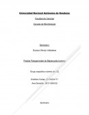 Blastocystis Hominis seminario