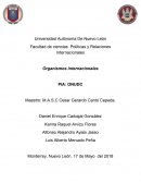 Marketing Organismos internacionales