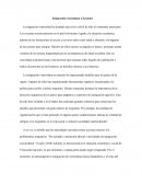 Ensayo de la migración venezolana