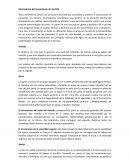 Biomecánica del lanzamiento de martillo