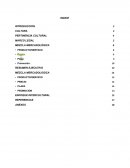 MARCO CONCEPTUAL CULTURA