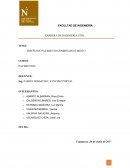 DISEÑO DE PAVIMENTO COMBINADO O MIXTO