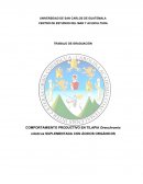 Acidos organicos en tilapia