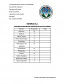 Reporte 1 Equilibrios de solubilidad