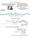 PRACTICA 2. DIAGRAMA ICEBERG