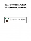 GUIA METODOLOGICA PARA LA CREACION DE UNA ASOCIACION