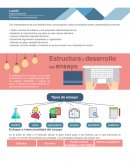 Estructura del ensayo. Enfoque e intencionalidad del ensayo