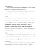 Transporte de sustancias