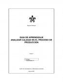 ANALIZAR CALIDAD EN EL PROCESO DE PRODUCCION