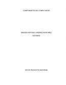 COMPONENTES DEL COMPUTADOR SISTEMAS