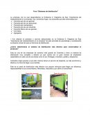 Foro “Sistemas de distribución”