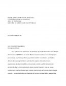 PROGRAMA DE PRACTICA GERENCIAL