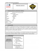 PROGRAMA ANALÍTICO INGENIERIA COMERCIAL