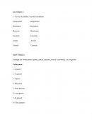 Conjugacióin de verbos francés