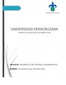 Proceso administrativo EMPRESA: RASPADOS “EL CISNE”