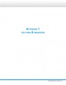 Diferencias culturales y de negocios