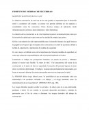 FOMENTO DE MEDIDAS DE SEGURIDAD