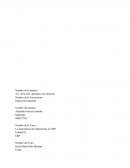 La importancia de implementar un ERP