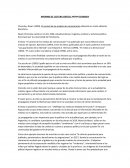 Informe de lectura critico: Noam Chomsky