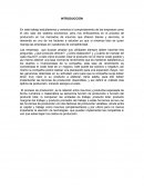 Trabajo Proceso de produccion