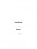 Control 2, Gestión de Calidad