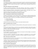 Mitos Empresariales ensayos