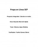Proyecto integrador: Calcular en moles