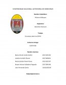 Trabajo Encuestas sobre los DDHH