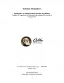 Ensayo Sistemas Monolíticos