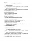 Generalidades sobre el presupuesto