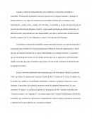 Desarrollo sostenible y sustentable, cumbre del rio