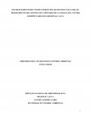 Proyecto Formativo: Fase Analisis