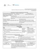 PLANEACIÓN DE SITUACIÓN DE APRENDIZAJE POR COMPETENCIA