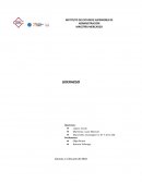 Descripción de la situación