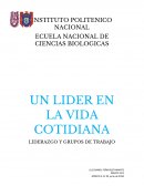 LIDERAZGO Y GRUPOS DE TRABAJO