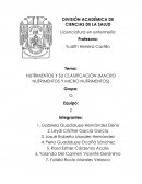 NUTRIMENTOS Y SU CLASIFICACIÓN (MACRO NUTRIMENTOS Y MICRO NUTRIMENTOS)