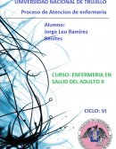 PROCESO DE EMERGENCIA