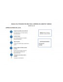 MANUAL DE ACTIVIDADES