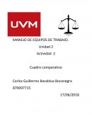 Manejo de equipos de trabajo Actividad