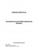 Unidad didacica sociales