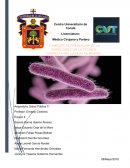 Proyecto de intervencion shigelosis