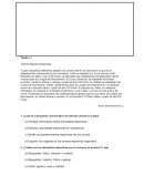 Diagnostico lenguaje 1° Medio