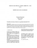 Estudiante de técnico laboral en seguridad industrial H.S.E