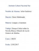 Trabajo: Ensayo Crítico sobre la Novela Blanca Olmedo de Lucila Gamero de Medina.